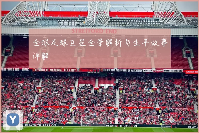 全球足球巨星全景解析与生平故事详解