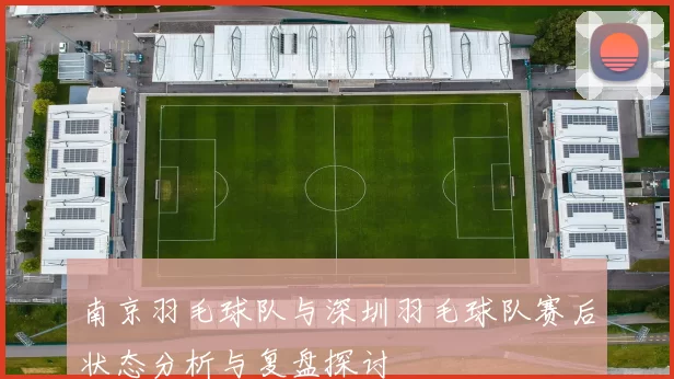 南京羽毛球队与深圳羽毛球队赛后状态分析与复盘探讨