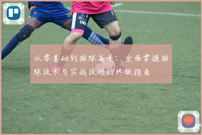 从零基础到排球高手：全面掌握排球技术与实战技巧的终极指南