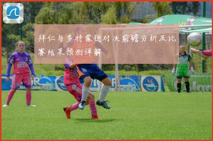 拜仁与多特蒙德对决前瞻分析及比赛结果预测详解