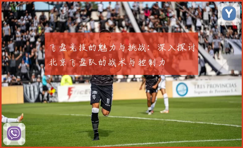 飞盘竞技的魅力与挑战：深入探讨北京飞盘队的战术与控制力