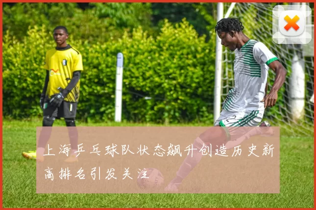 上海乒乓球队状态飙升创造历史新高排名引发关注