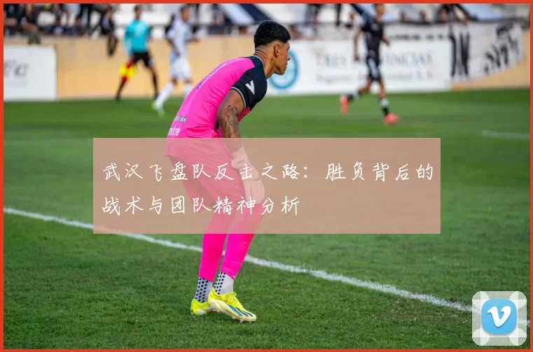 武汉飞盘队反击之路：胜负背后的战术与团队精神分析