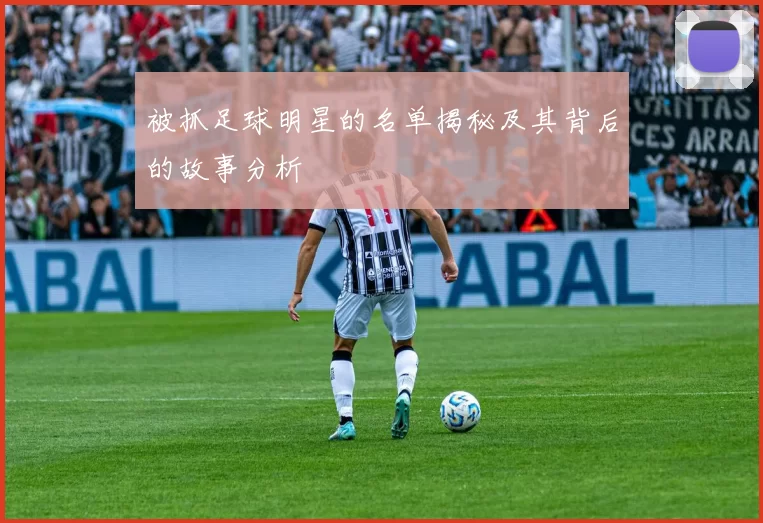 被抓足球明星的名单揭秘及其背后的故事分析
