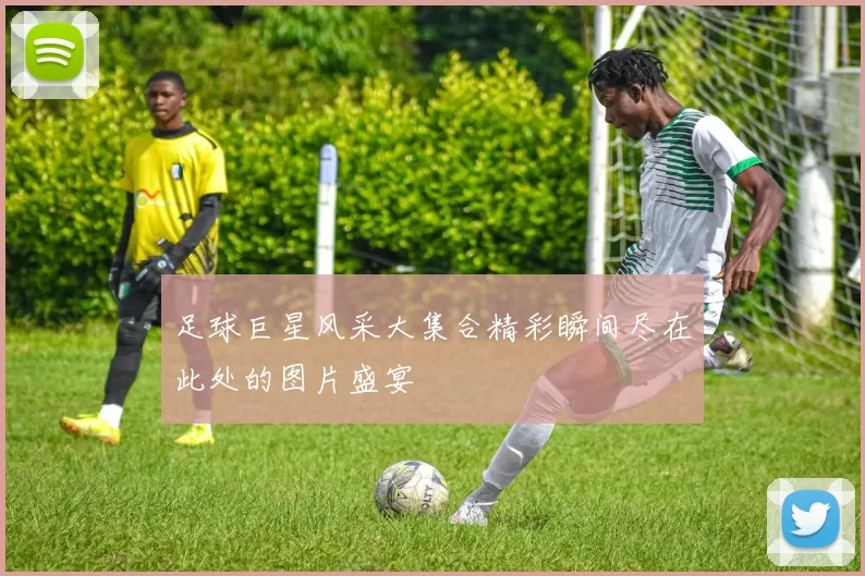 足球巨星风采大集合精彩瞬间尽在此处的图片盛宴