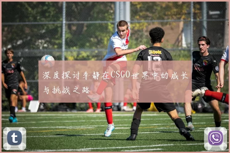 深度探讨李静在CSGO世界中的成长与挑战之路