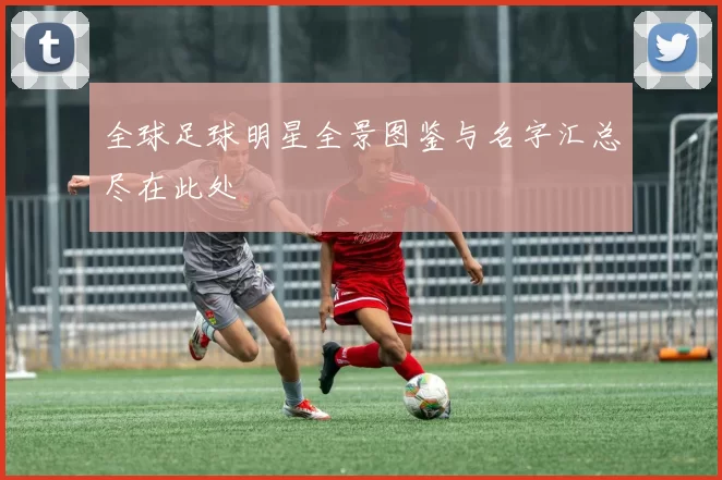 全球足球明星全景图鉴与名字汇总尽在此处