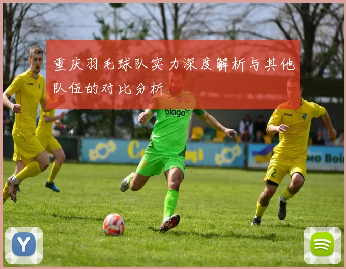 重庆羽毛球队实力深度解析与其他队伍的对比分析