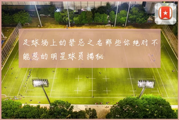 足球场上的禁忌之名那些你绝对不能惹的明星球员揭秘