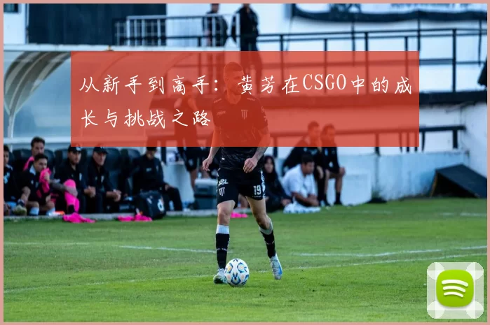 从新手到高手：黄芳在CSGO中的成长与挑战之路