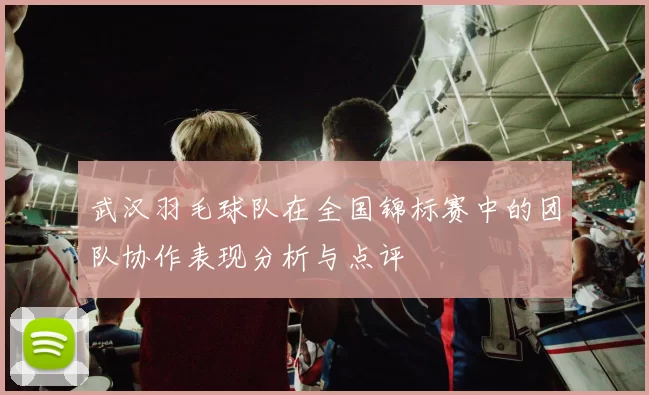 武汉羽毛球队在全国锦标赛中的团队协作表现分析与点评
