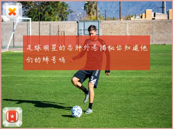 足球明星的各种外号揭秘你知道他们的绰号吗